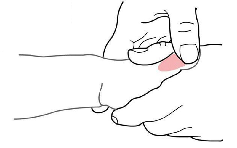 小兒推拿可以提高孩子的免疫力嗎|花都小兒推拿培訓(xùn)班