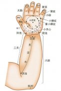 花都小兒推拿培訓|小兒推拿常用穴位：手肘部穴位