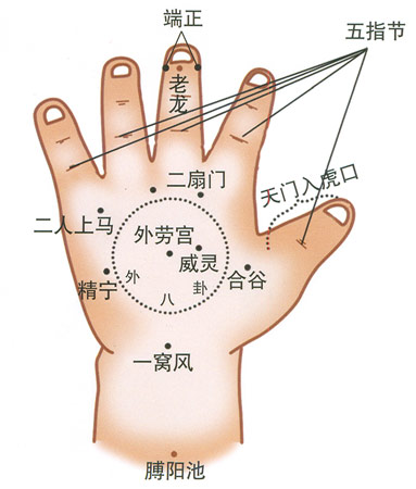小兒推拿常用穴位：手肘部(3)