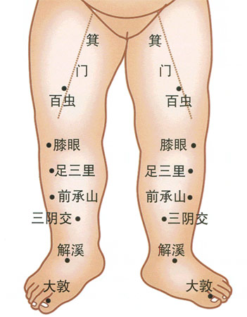 小兒推拿常用穴位：下肢部