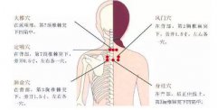 花都小兒推拿培訓(xùn)學(xué)校之衛(wèi)氣營(yíng)血辨證